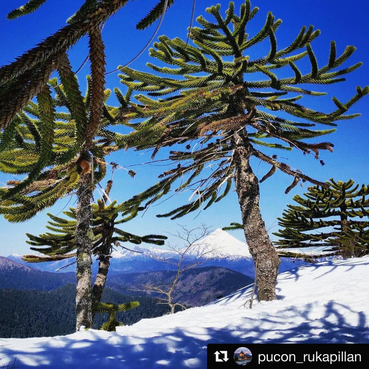 Departamento Explore Pucon Διαμέρισμα Εξωτερικό φωτογραφία
