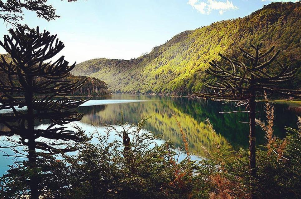 Departamento Explore Pucon Διαμέρισμα Εξωτερικό φωτογραφία